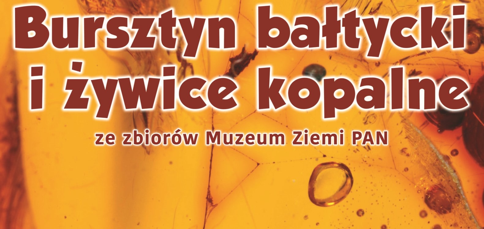 Bursztyn bałtycki i żywice kopalne