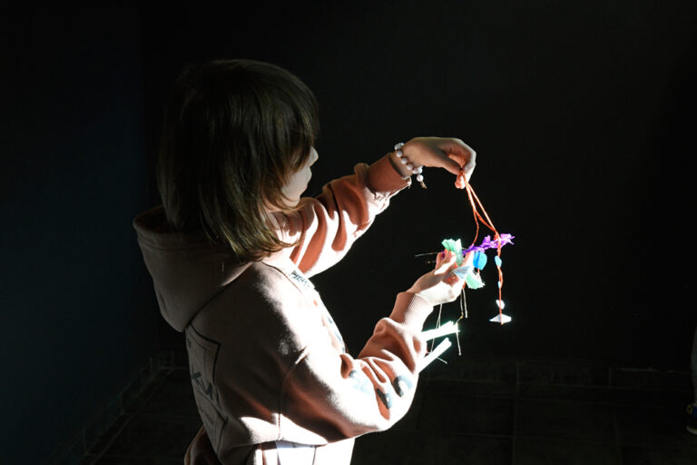 Pająki lubelskie – fotorelacja z wernisażu