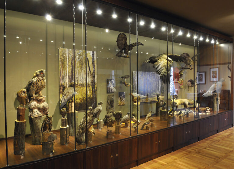 Wyzwania ornitologii sądowej – zaproszenie na wykład