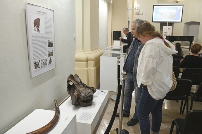 Wielkie ssaki epoki lodowcowej – fotorelacja