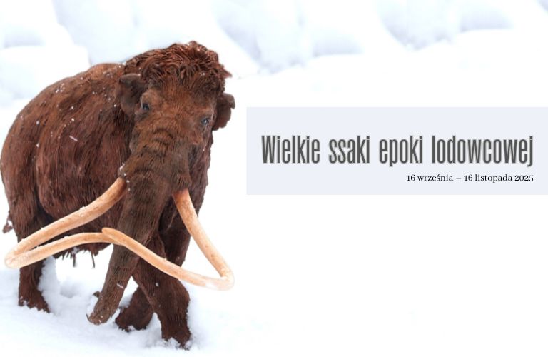 Wielkie ssaki epoki lodowcowej