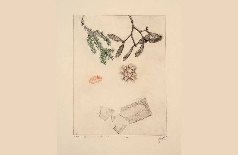 Życzenia świąteczne