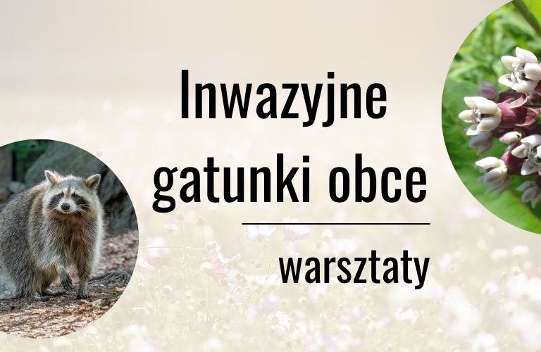 Inwazyjne gatunki obce – bezpłatne warsztaty